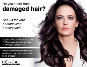 pro fiber promotion